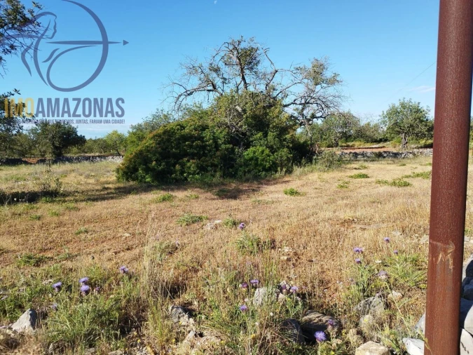 Terreno para Venda em Boliqueime Foto 15