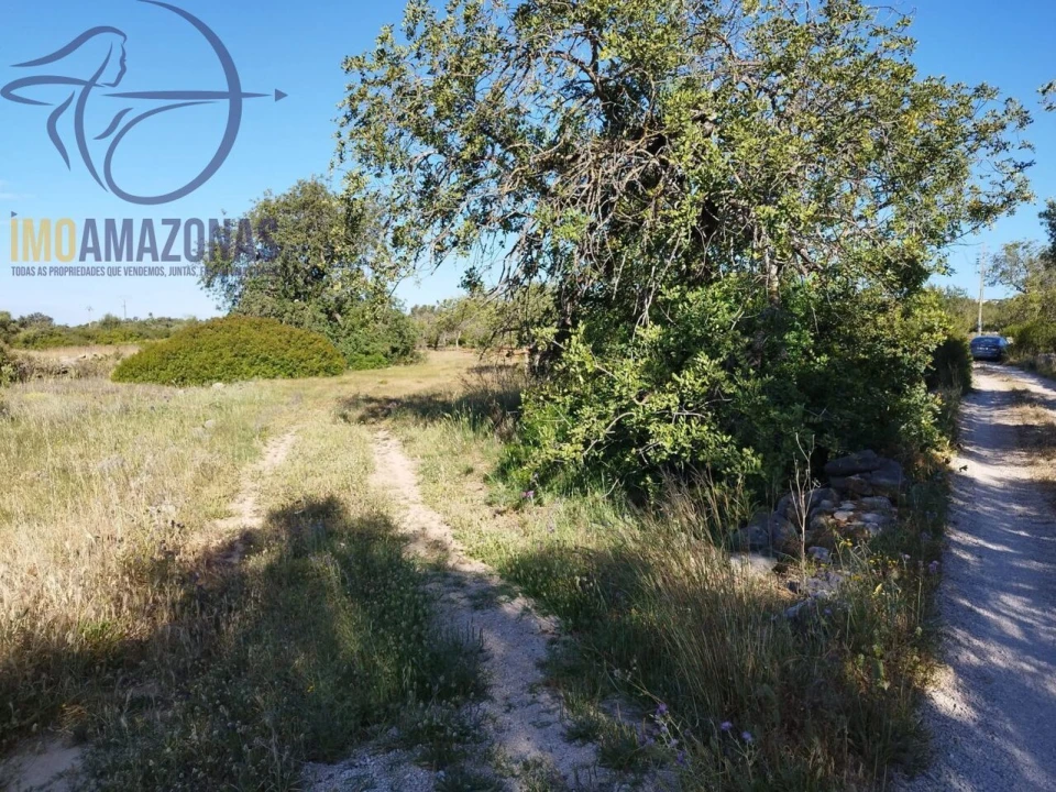 Terreno para Venda em Boliqueime Foto 6