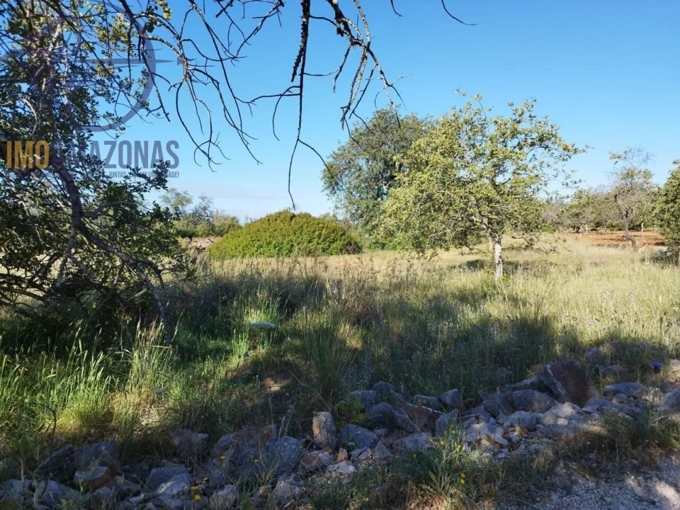 Terreno para Venda em Boliqueime Foto 19