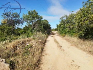 Terreno para Venda em Boliqueime