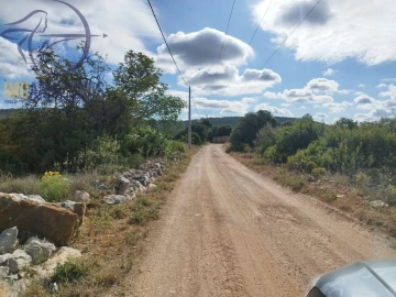 Terreno para Venda em Boliqueime