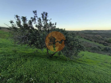 Terreno para Venda em Castro Marim