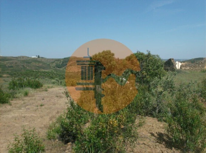 Terreno para Venda em Castro Marim Foto 14