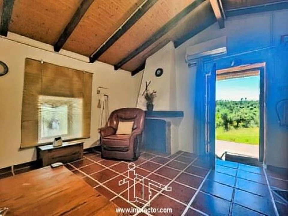 Quinta T8 para Venda em Castelo Branco Foto 15