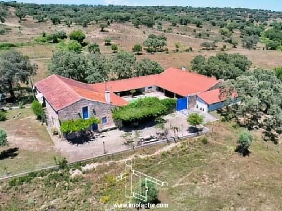Quinta T8 para Venda em Castelo Branco Foto 1