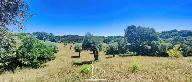 Quinta T8 para Venda em Castelo Branco