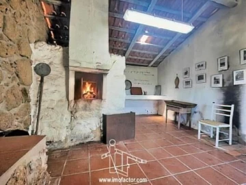 Quinta T8 para Venda em Castelo Branco