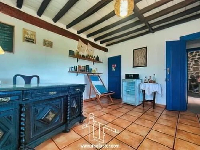 Quinta T8 para Venda em Castelo Branco Foto 18