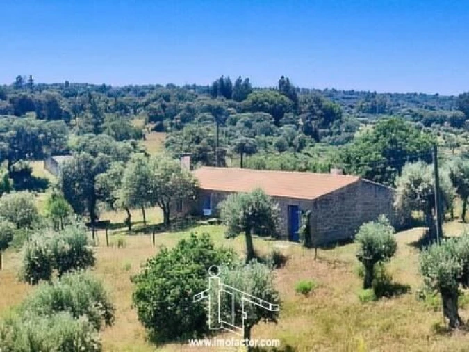 Quinta T8 para Venda em Castelo Branco Foto 5