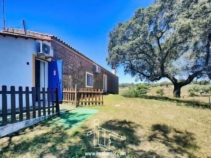 Quinta T8 para Venda em Castelo Branco Foto 4