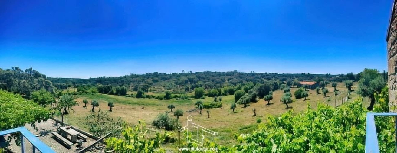 Quinta T8 para Venda em Castelo Branco Foto 9
