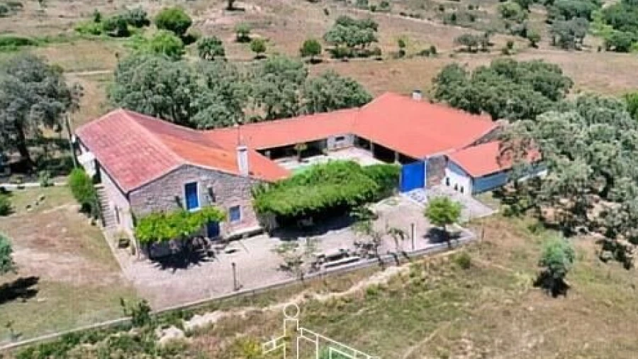 Quinta T8 para Venda em Castelo Branco
