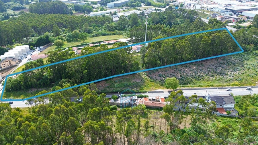 Terreno Agricola ou Rústico para Venda em Baguim do Monte (Rio Tinto) Foto 4