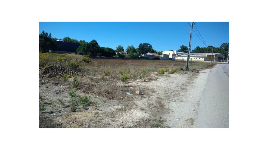 Terreno para Venda em Nossa Senhora do Pópulo, Coto e São Gregório Foto 2