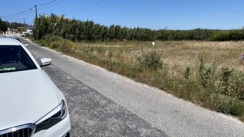 Terreno para Venda em Silveira