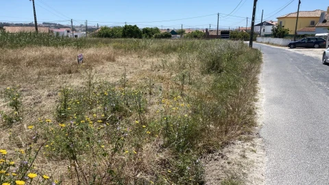 Terreno para Venda em Silveira
