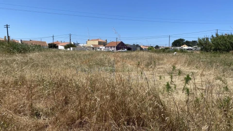 Terreno para Venda em Silveira