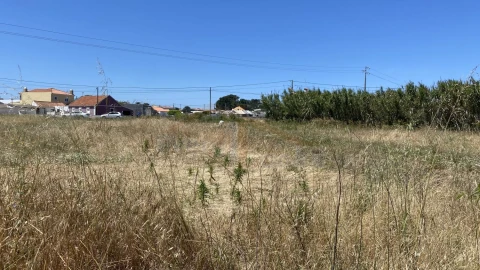 Terreno para Venda em Silveira