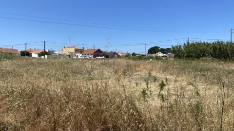 Terreno para Venda em Silveira