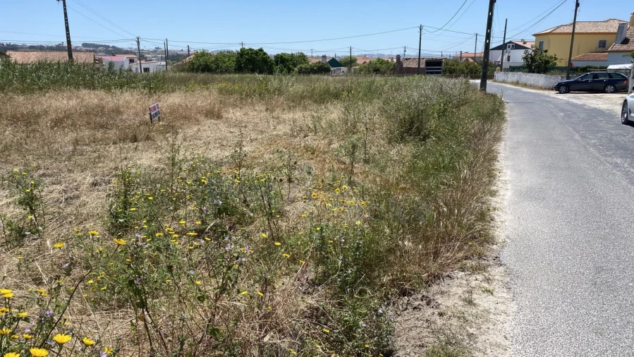Terreno para Venda em Silveira Foto 2