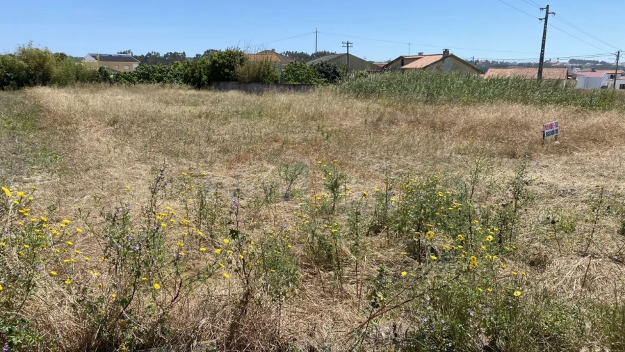 Terreno para Venda em Silveira Foto 3