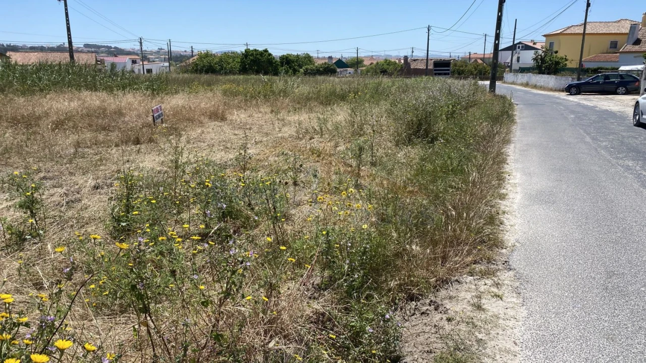 Terreno para Venda em Silveira Foto 2