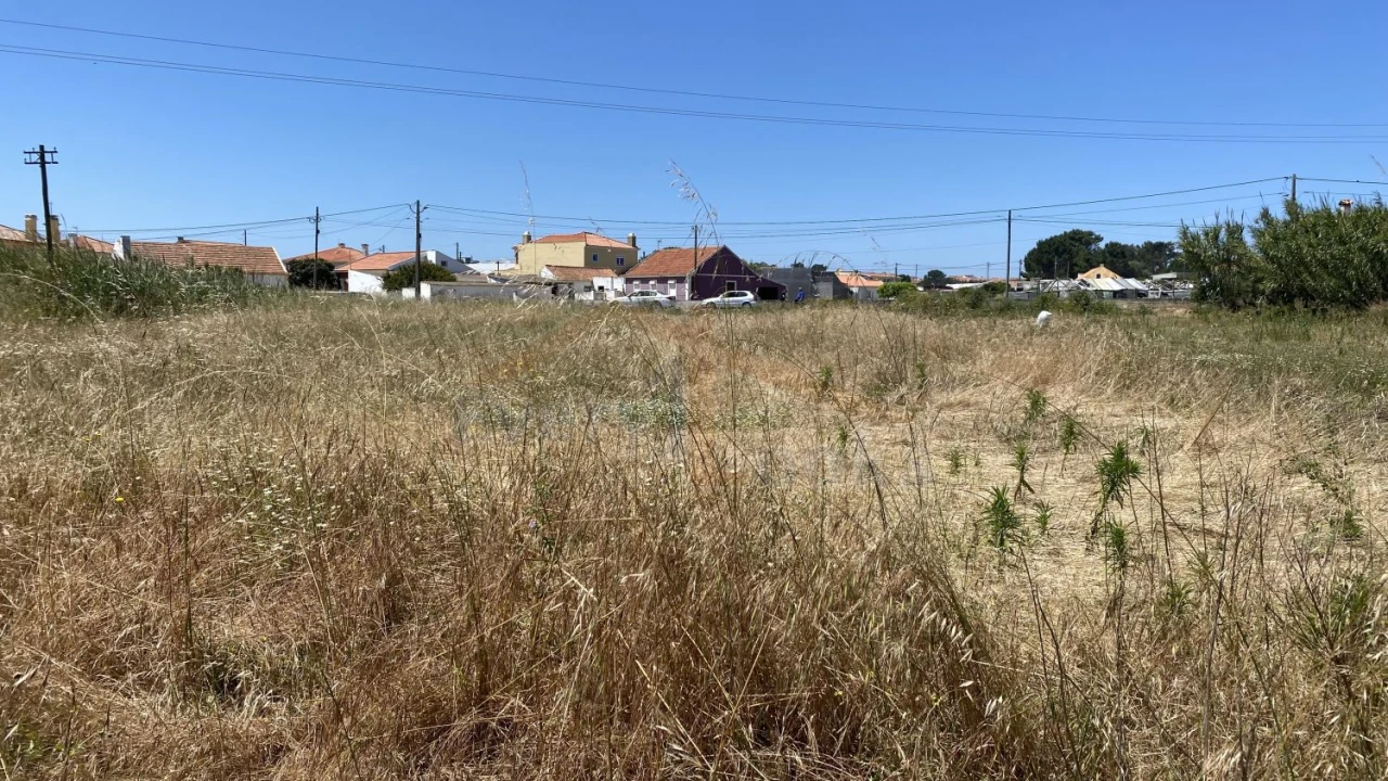 Terreno para Venda em Silveira Foto 10