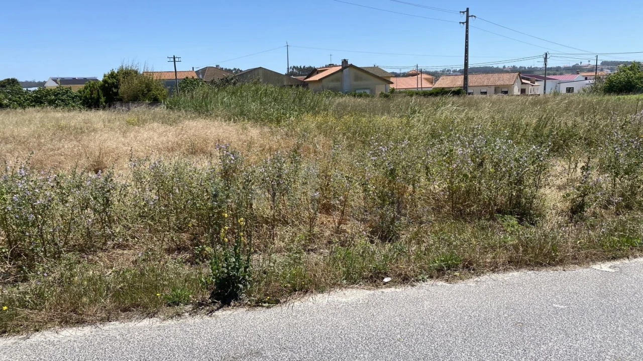 Terreno para Venda em Silveira Foto 9