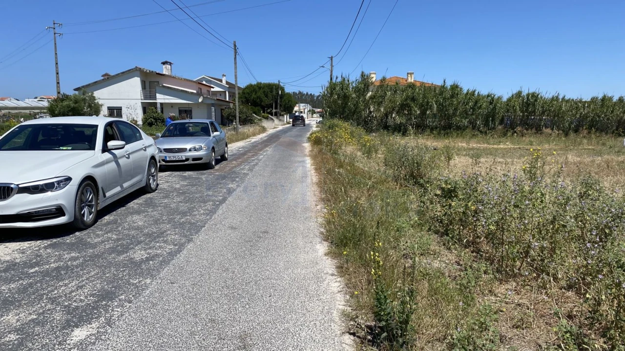 Terreno para Venda em Silveira Foto 6