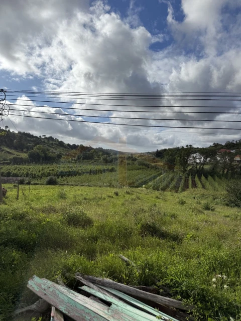 Moradia T2 para Venda em Vidais