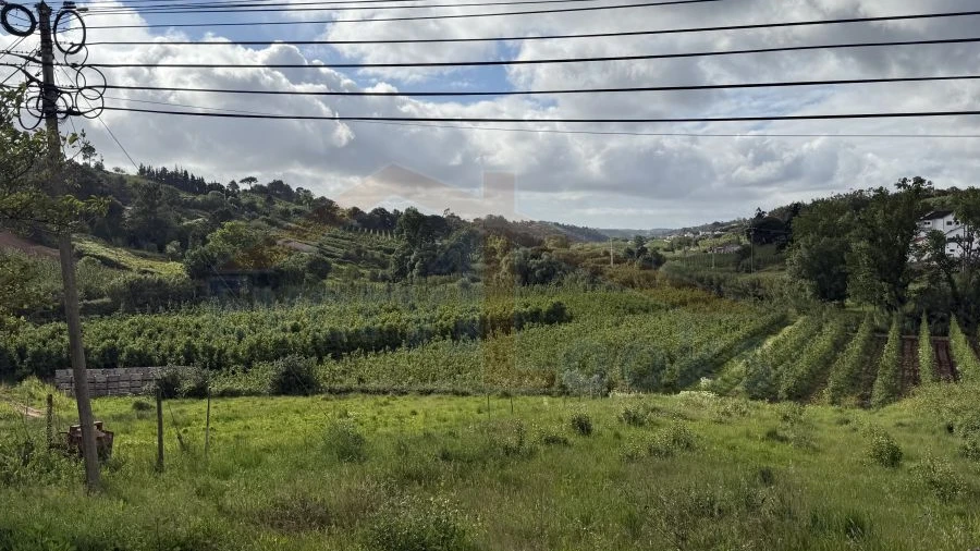 Moradia T2 para Venda em Vidais