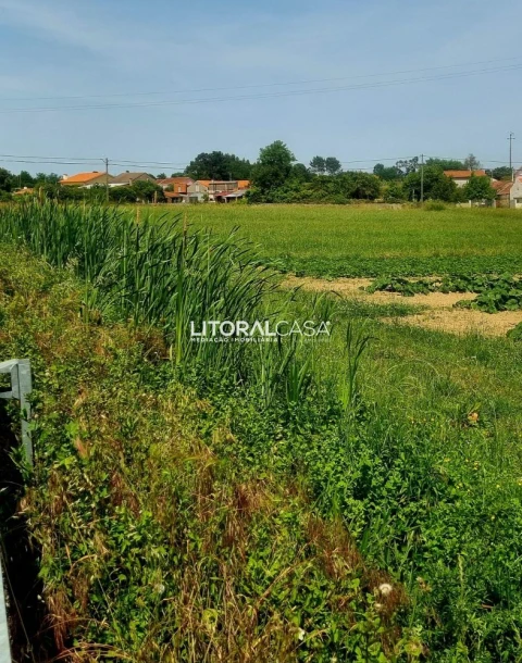 Terreno para Venda em Eixo e Eirol