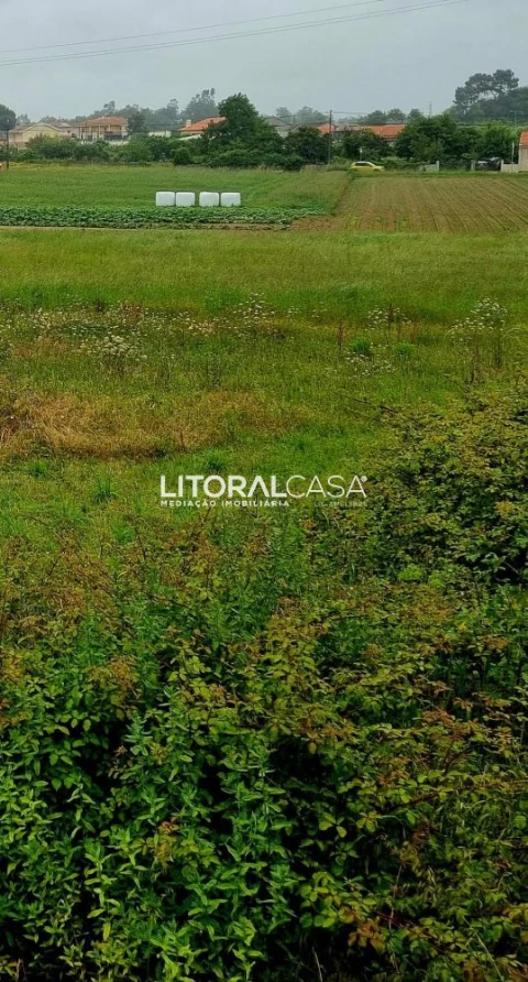 Terreno para Venda em Eixo e Eirol