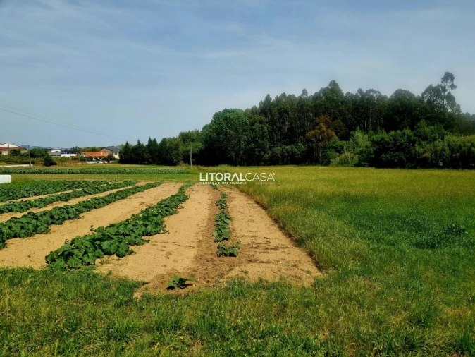 Terreno para Venda em Eixo e Eirol Foto 12