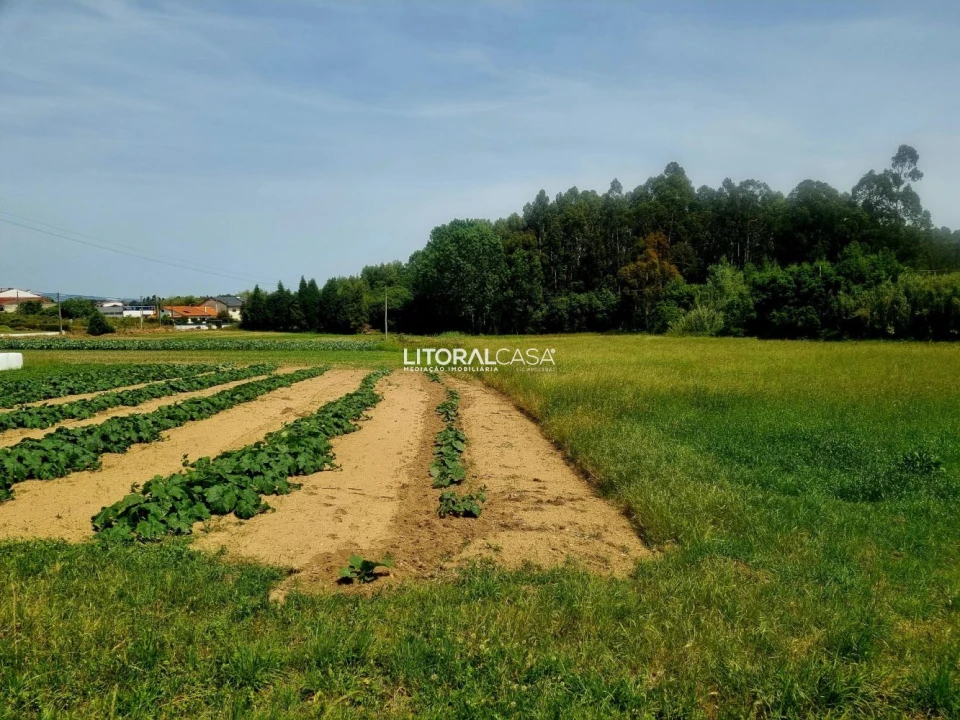 Terreno para Venda em Eixo e Eirol Foto 12