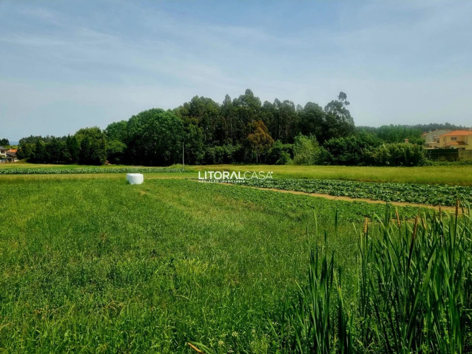 Terreno para Venda em Eixo e Eirol Foto 13