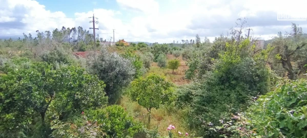 Moradia T3 para Venda em Vila de Rei