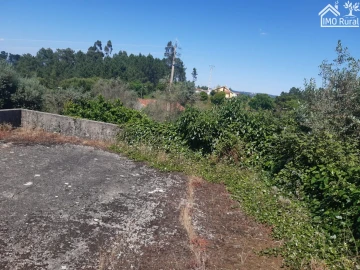 Moradia T3 para Venda em Vila de Rei