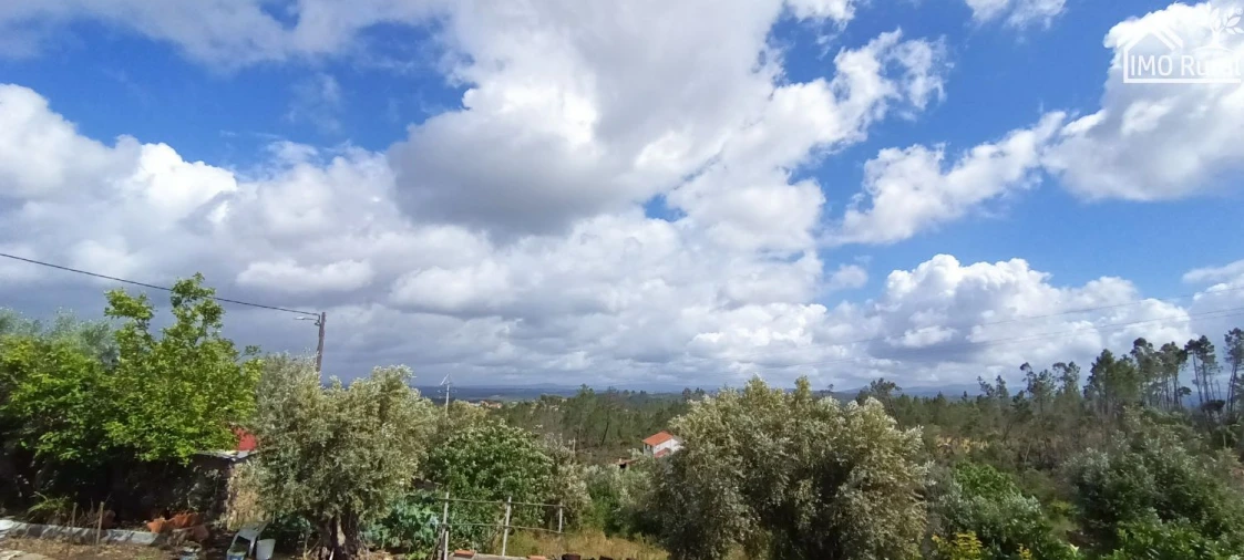 Moradia T3 para Venda em Vila de Rei Foto 34