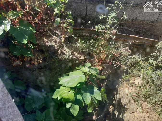 Moradia T3 para Venda em Vila de Rei Foto 4