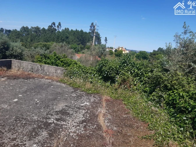 Moradia T3 para Venda em Vila de Rei Foto 3