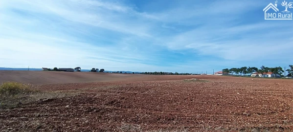 Terreno para Venda em Abitureiras