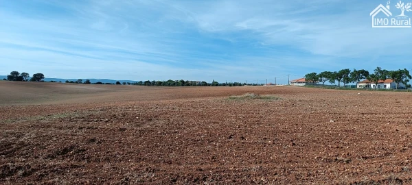Terreno para Venda em Abitureiras