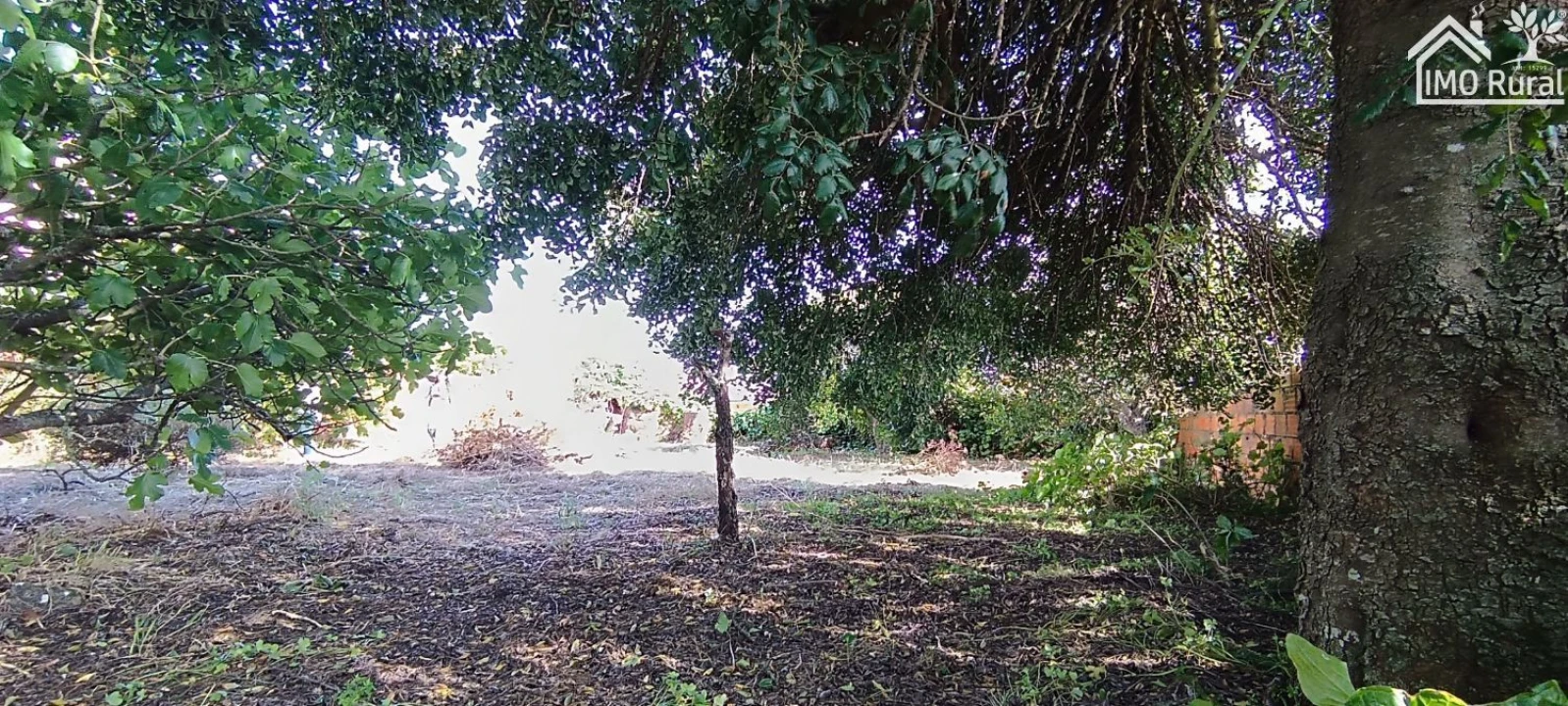 Terreno para Venda em Abitureiras Foto 3
