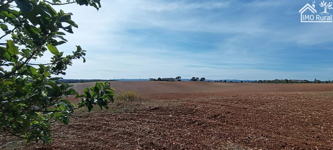 Terreno para Venda em Abitureiras Foto 5