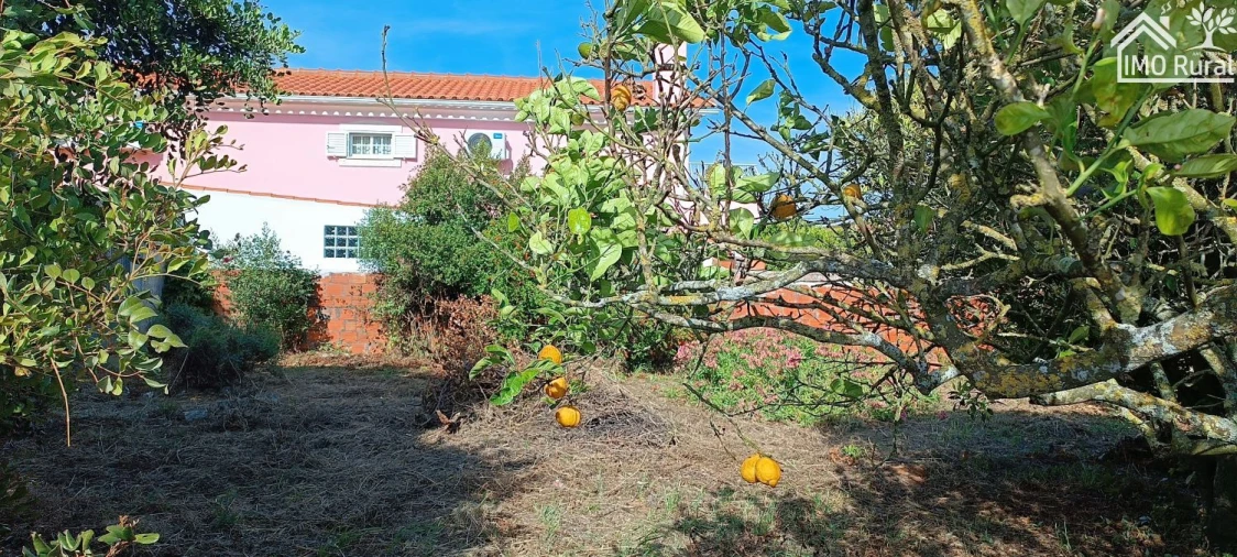 Terreno para Venda em Abitureiras Foto 16