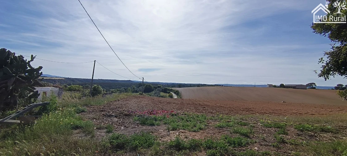 Terreno para Venda em Abitureiras Foto 14