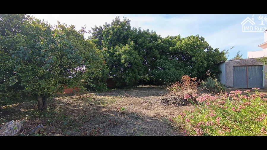 Terreno para Venda em Abitureiras