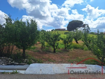 Moradia T2 para Venda em Lamas e Cercal