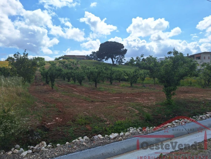 Moradia T2 para Venda em Lamas e Cercal Foto 26